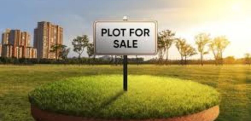 100 plot for sale near Girdharipura